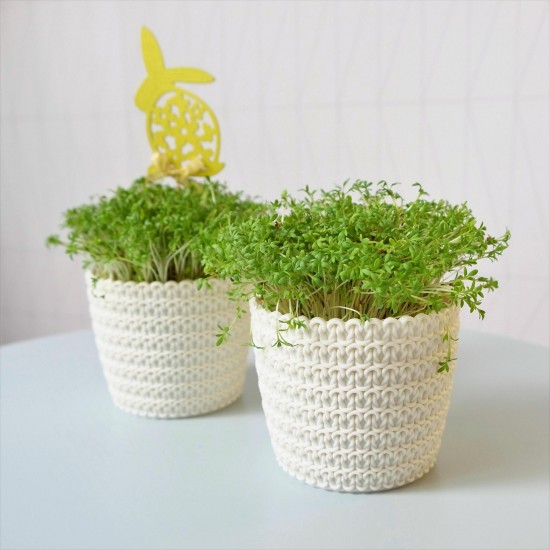 Plant Pots Jersey Cream